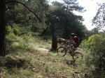 DSCN6078.jpg