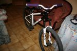 Imagen 1204.jpg