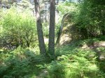 DSCN0292 (Medium).jpg