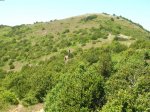 DSCN3284.JPG
