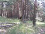 DSCN6085.jpg