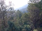 Imagen014.jpg