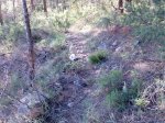 Imagen017.jpg