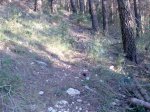 Imagen019.jpg