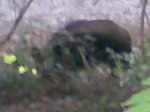 Imagen045.jpg