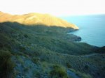 resize_of_image0048.jpg