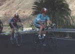 image4.jpg