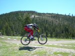 DSCN2959.jpg