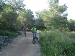 m_IMG_2530.jpg