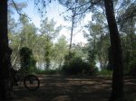 m_IMG_2537.jpg