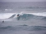 100_0766.JPG
