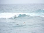 100_0771.JPG