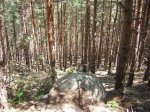 DSCN0803.jpg