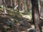 DSCN0806.jpg
