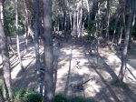Imagen051.jpg