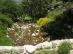 DSCN0808.jpg