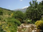 DSCN0809.jpg