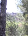 P30-06-08_14.43.jpg