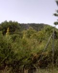 P30-06-08_14.45.jpg