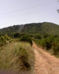 P30-06-08_14.46.jpg
