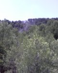 P30-06-08_14.56.jpg