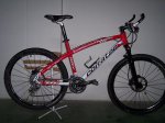 Corratec Race 007-p.jpg