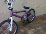 bmxxxx.jpg