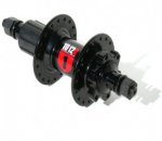 p58p53.jpg