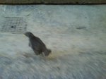 DSC00006.jpg