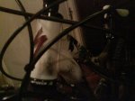 DSC01145.jpg