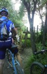 DSC00380.jpg