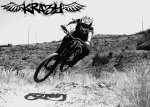 krazy 2.JPG