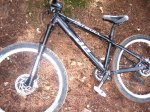 Bicis (419).JPG