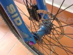 DSC07988.jpg