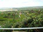DSC00754.JPG