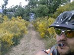 Foto0157 [Resolucion de Escritorio].jpg