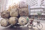 bici [Resolucion de Escritorio].jpg