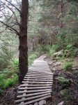 pasarela freeride.jpg