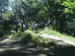 meseta2.gif