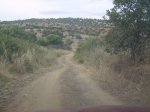 PICT0030.JPG