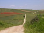 Camino Santiago juny 047.jpg