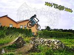 txavi.jpg