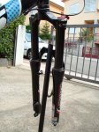 DSC01485.JPG