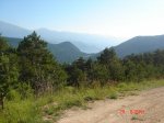 DSC01513.jpg