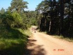 DSC01517.jpg