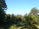 DSC01518.jpg