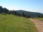 DSC01521.jpg