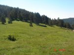 DSC01522.jpg
