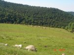 DSC01523.jpg