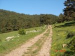 DSC01524.jpg